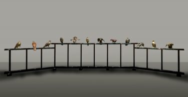 国立工芸館石川移転開館1周年記念展《十二の鷹》と明治の工芸　10月9日～12月12日